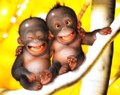Funny-monkey www.imgworld.mobie.in